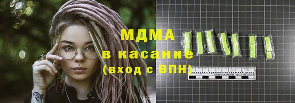 гашик Алексин