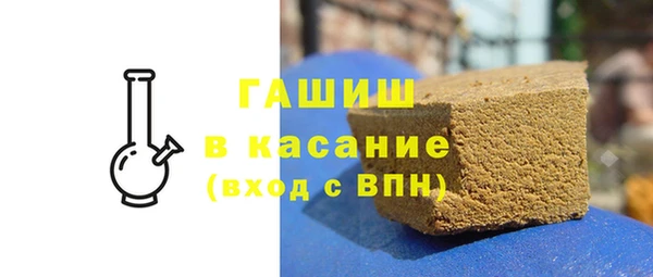 гашик Алексин