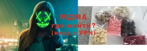 гашик Алексин