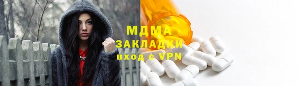 гашик Алексин